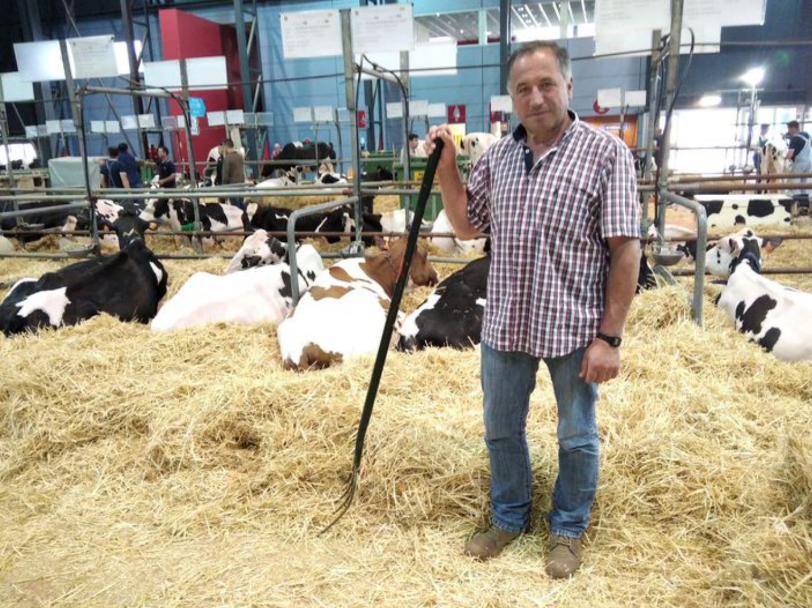 Manuel Fernández Mora, con las vacas que trajo a la feria.