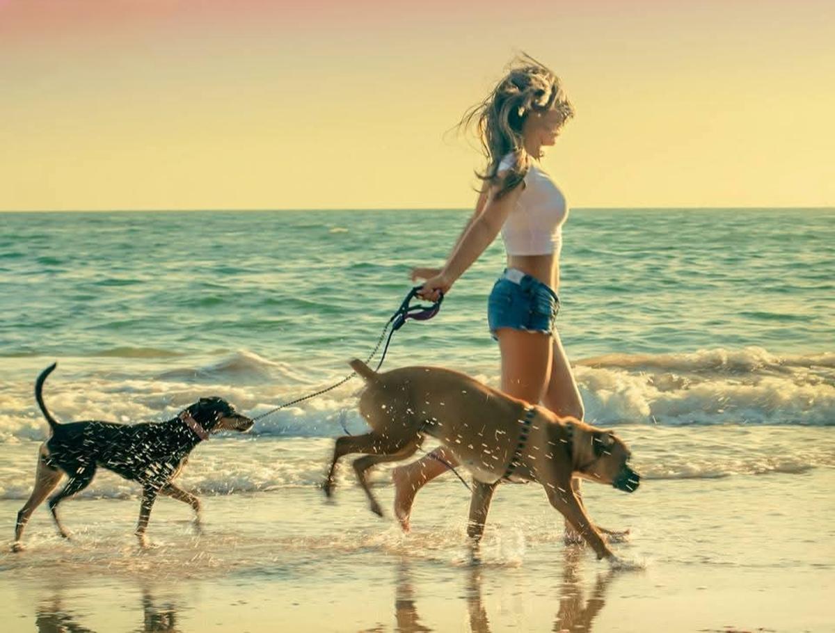Arantxa disfruta con sus perros en la playa cuando vuelve a Andalucía.