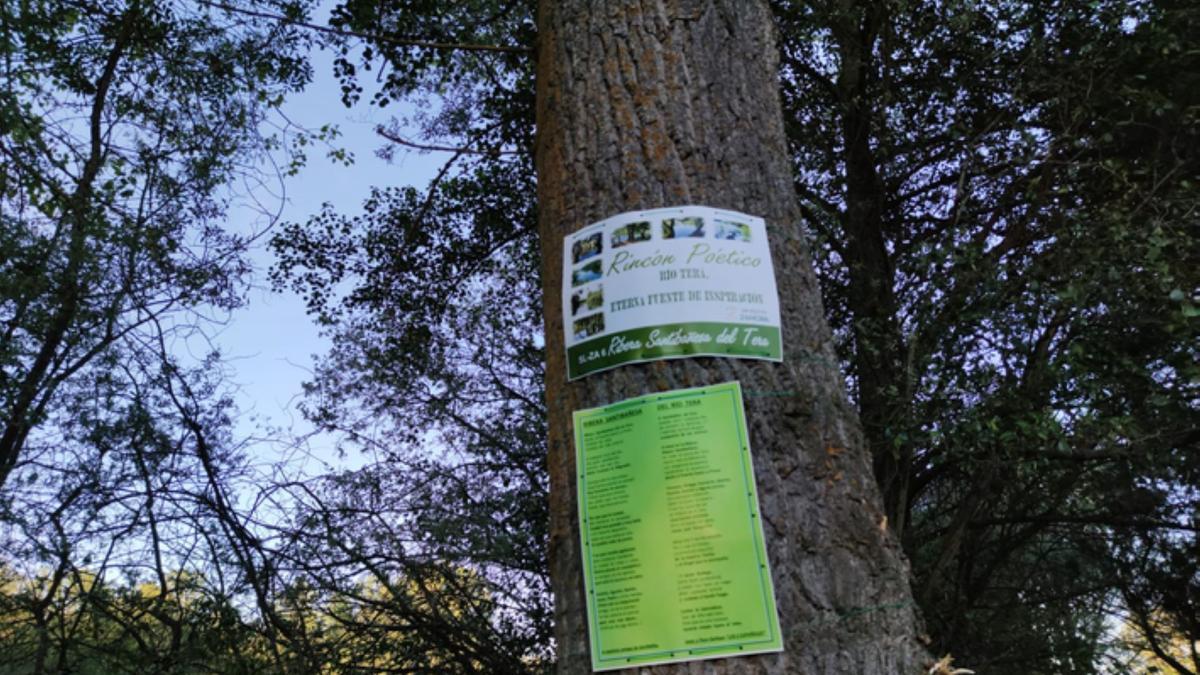 Parte del rincón poético en la Ruta de Santibáñez de Tera. / E. P.