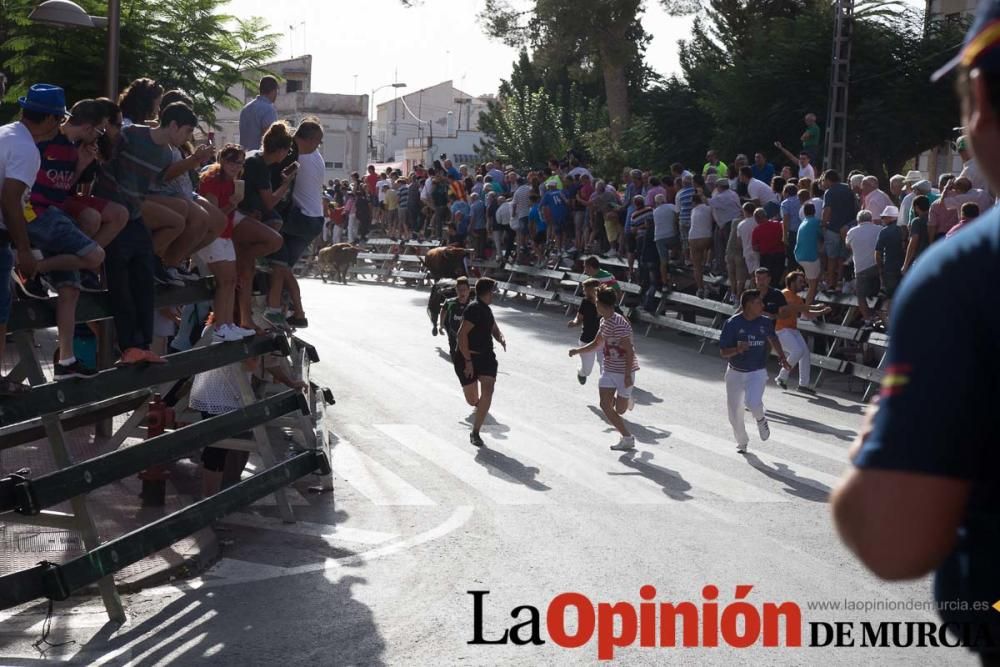 Tercer encierro en Calasparra