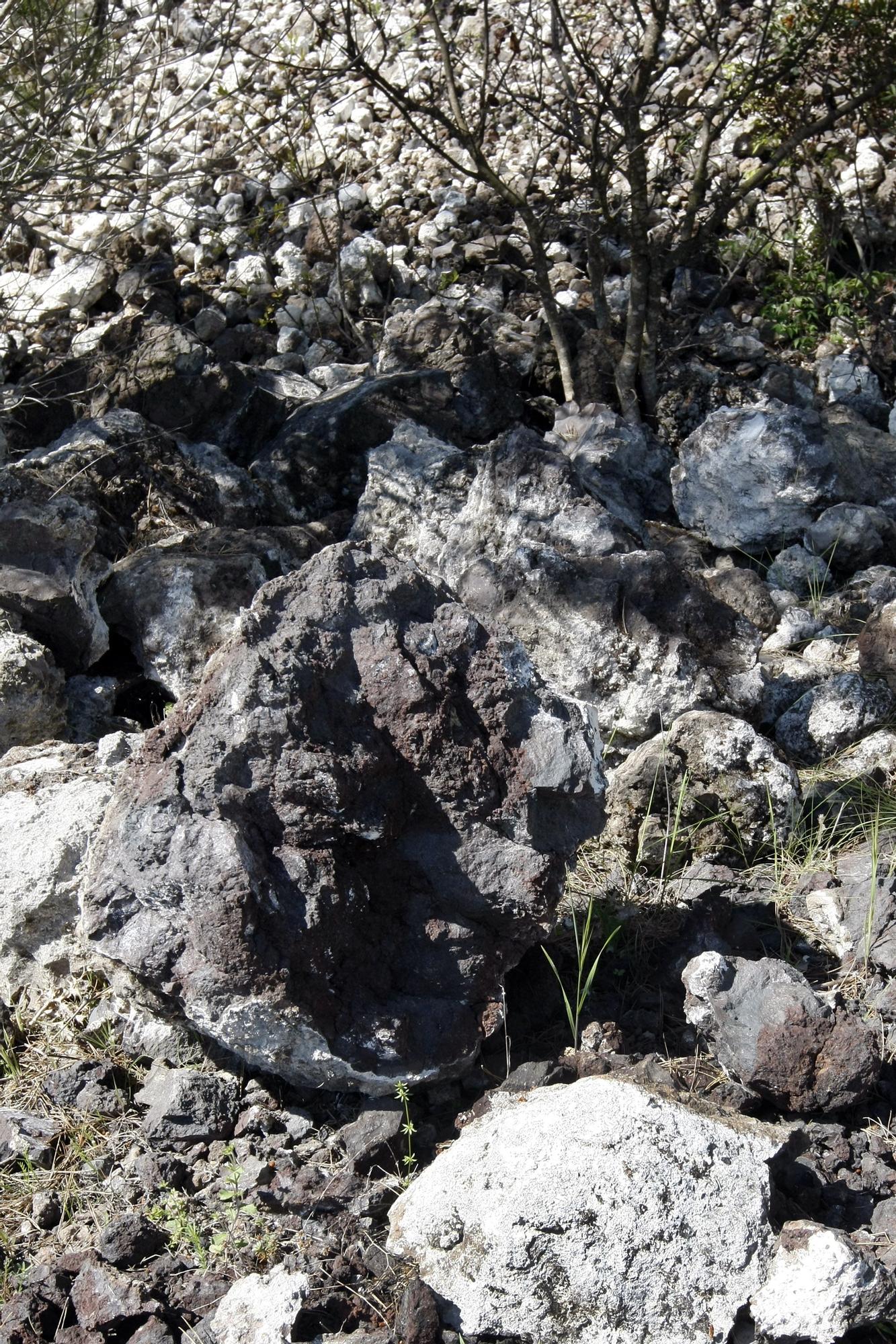 El cráter actual del volcán de Cofrentes