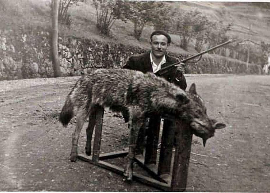 Domingo Calvo Testón, con un lobo muerto.