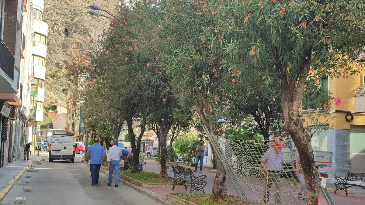 Arrancan las obras de renovación del paseo Calvo Sotelo de Orihuela