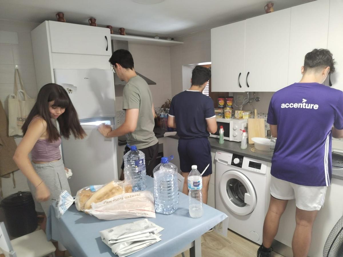 WhatsApp Image 2025-07-31 at 13.55.09.jpeg WhatsApp Image 2025-07-31 at 13.55.09.jpeg