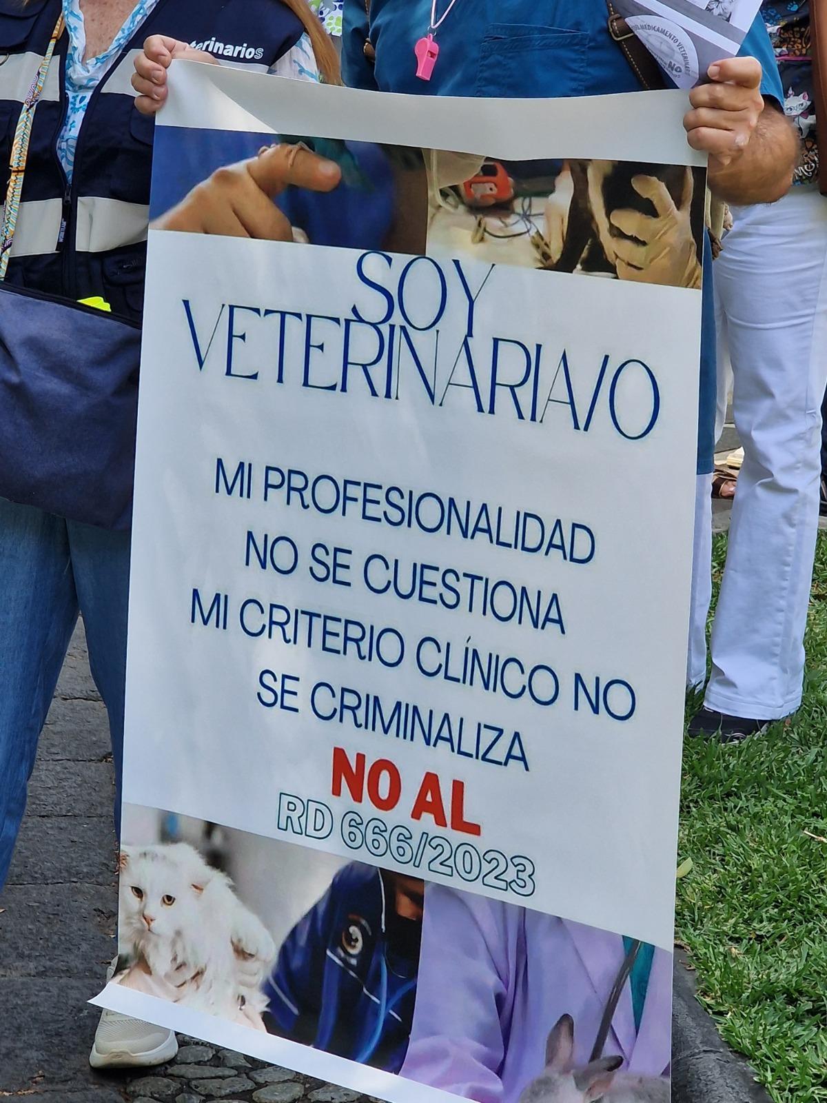 Detalle de una de las pancartas.