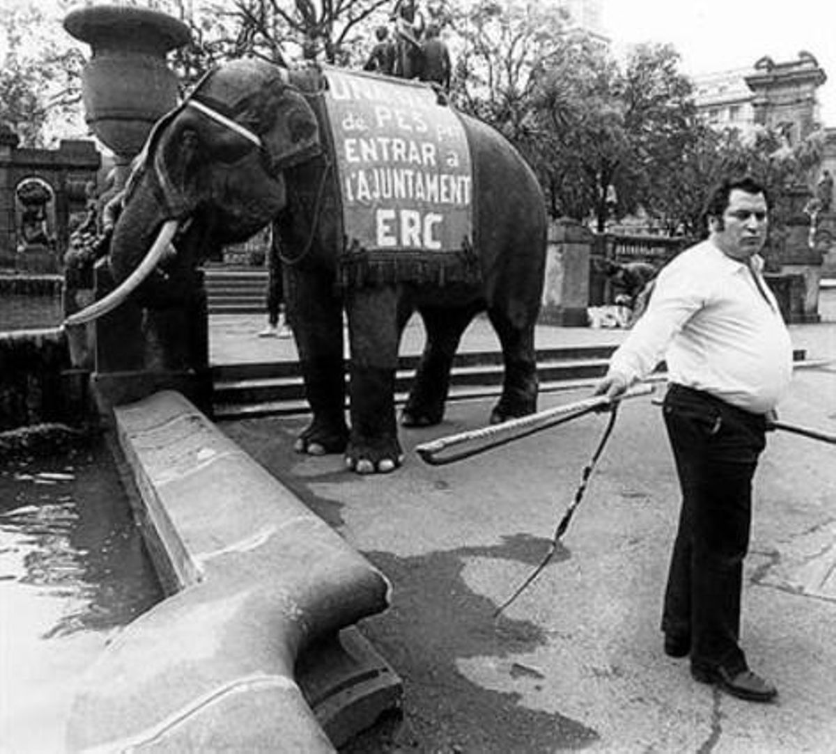 L’elefant que va fer servir ERC a les municipals del 1983 a Barcelona. L’elefant que va fer servir ERC a les municipals del 1983 a Barcelona.