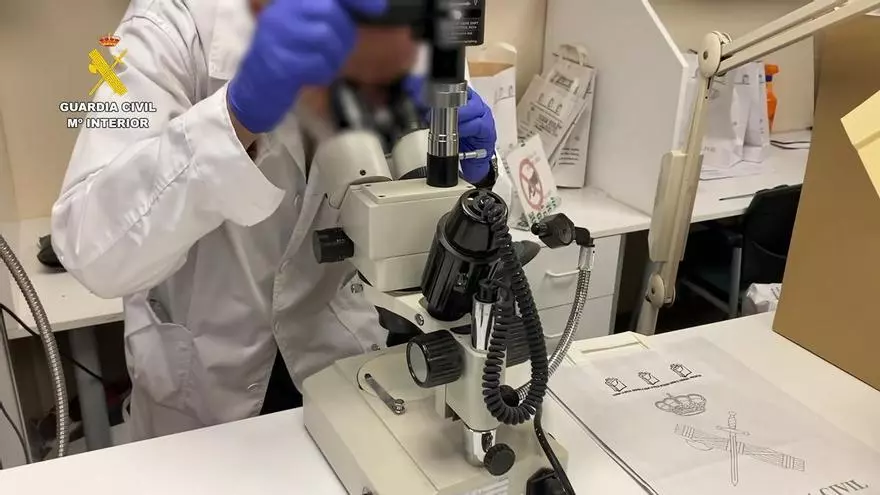 Proceso para realizar el retrato robot de la mujer aparecida en Málaga