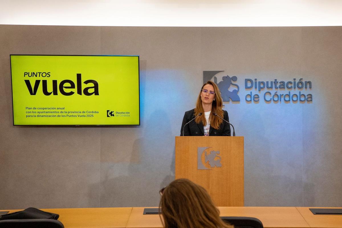Sara Alguacil, en la rueda de prensa celebrada este miércoles en la Diputación.