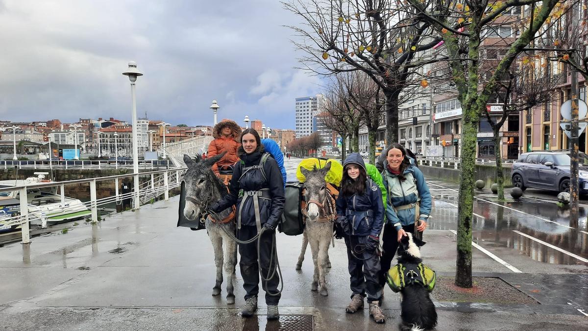 Por la izquierda, las niñas Doucey, Domino y Mati, junto a su madre, Clara Van Buynderen, con sus burros "Guía" y "Koda" y su perra "Mía", ayer, en pleno Camino de Santiago, a su paso por Rodríguez San Pedro.