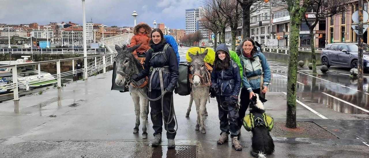 Por la izquierda, las niñas Doucey, Domino y Mati, junto a su madre, Clara Van Buynderen, con sus burros «Guía» y «Koda» y su perra «Mía», ayer, en pleno Camino de Santiago, a su paso por Rodríguez San Pedro.