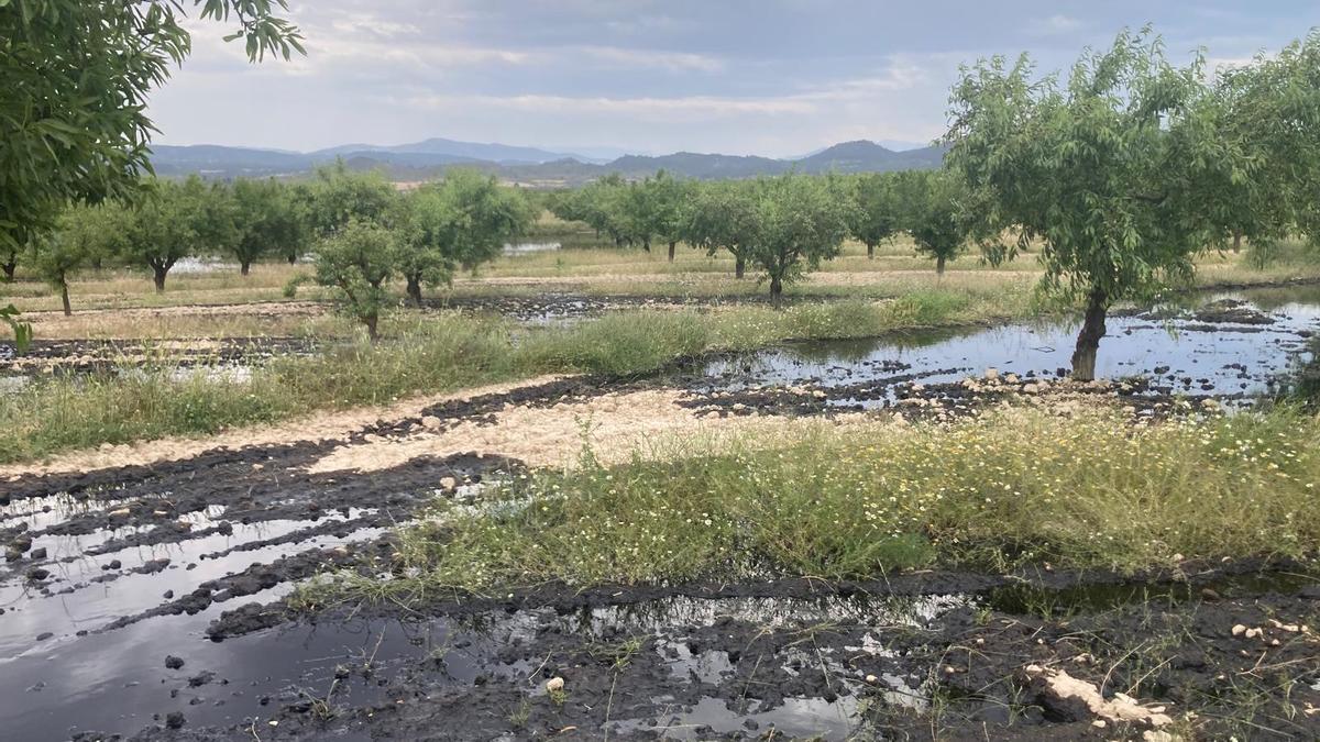 Finca agrícola de Calasparra afectada por el vertido de petróleo.