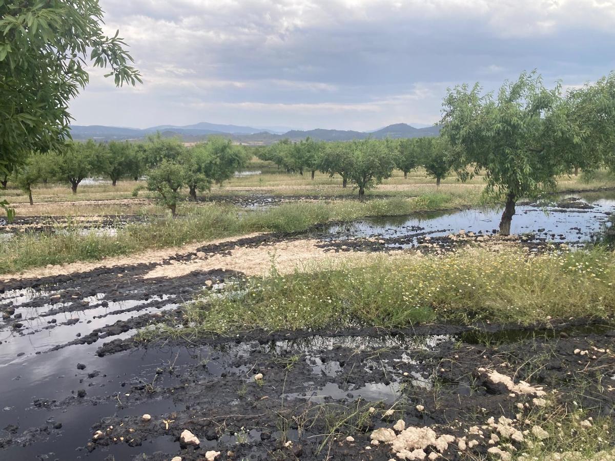Finca agrícola de Calasparra afectada por el vertido de petroleo.