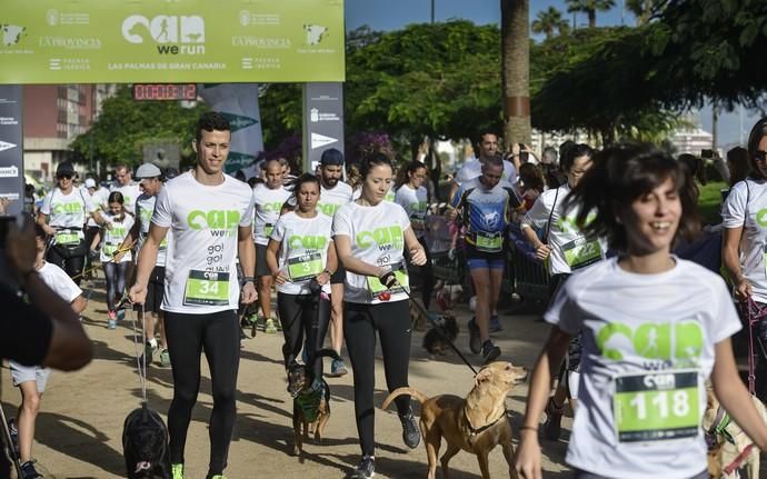 16/12/2018 LAS PALMAS DE GRAN CANARIA. Carrera ...