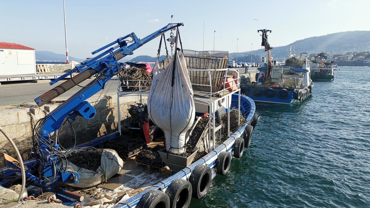 Maniobra a bordo de un bateeiro para descargar mejillón en el puerto.