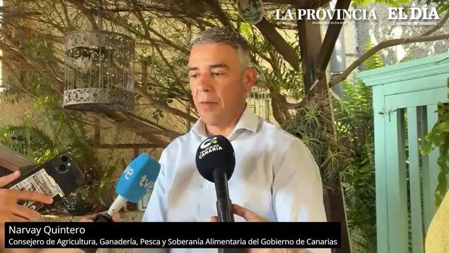 VÍDEO: Declaraciones de Narvay Quintero sobre la detección del virus en tres équidos de Canarias