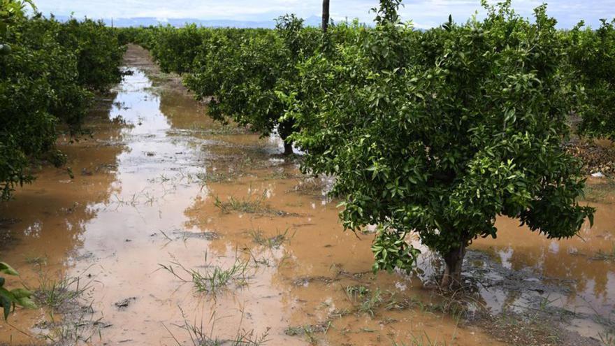 El canvi climàtic provocarà inundacions cada vegada més fortes. | MEDITERRÁNEO