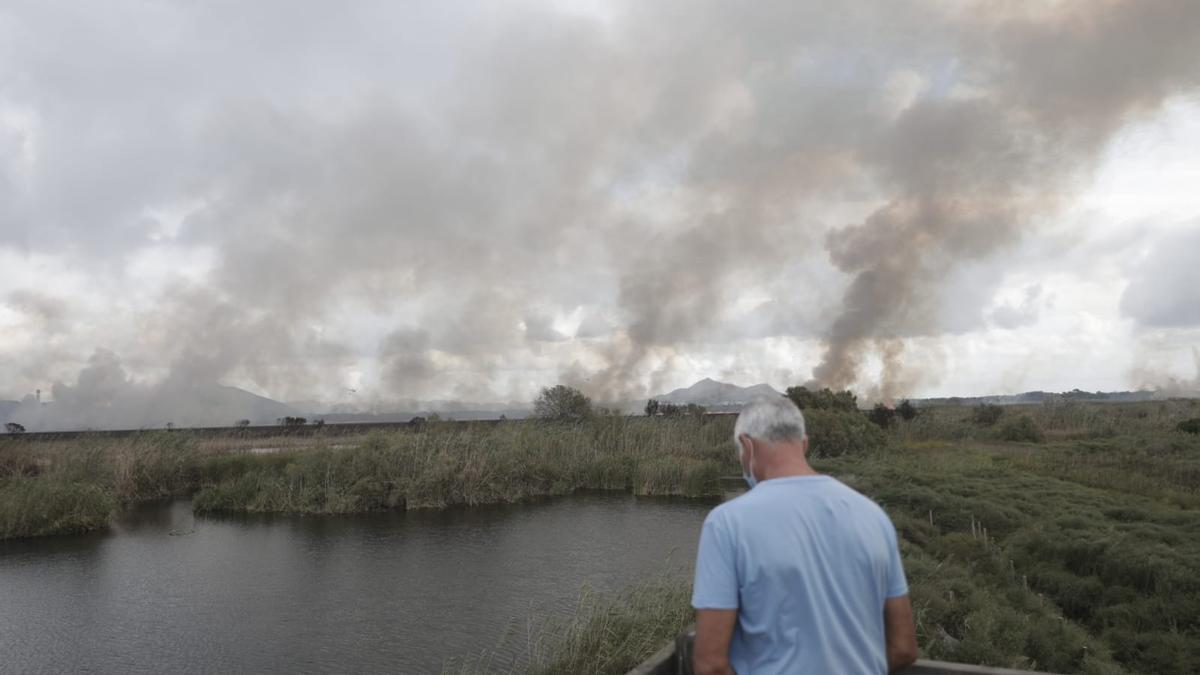 incendio albufera