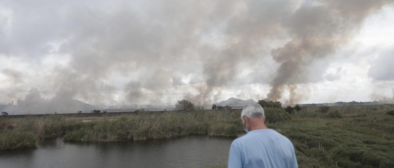 incendio albufera