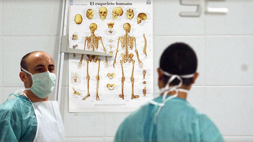 Un forense trabajando en el Instituto de Medicina Legal.