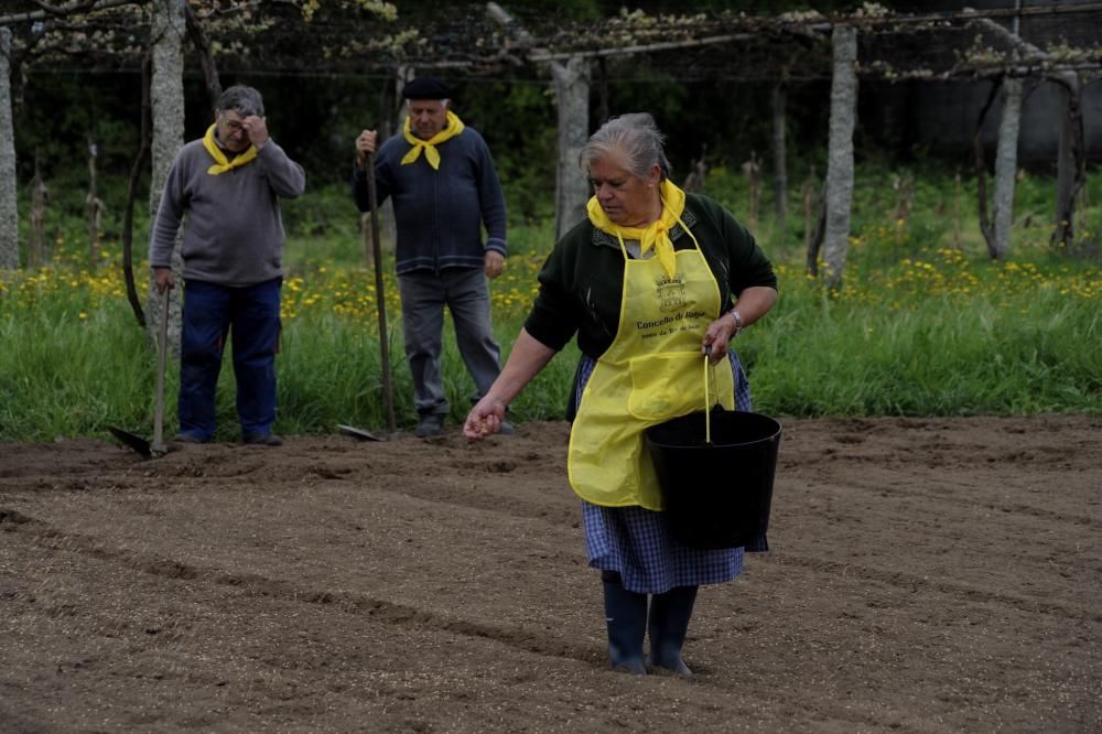 "Sementeira", una asignatura en Valga