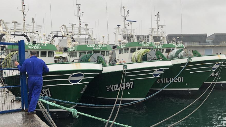 Barcos pesqueros de la flota de Ribeira amarrados al puerto por un temporal a comienzos de año.