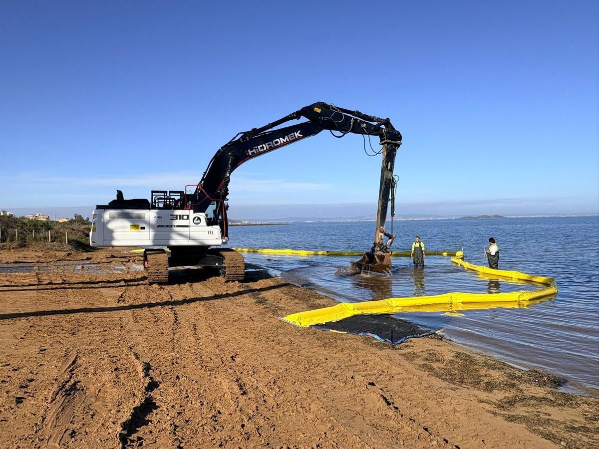 Operarios realizan las labores de remangado en la orilla del Mar Menor esta semana.