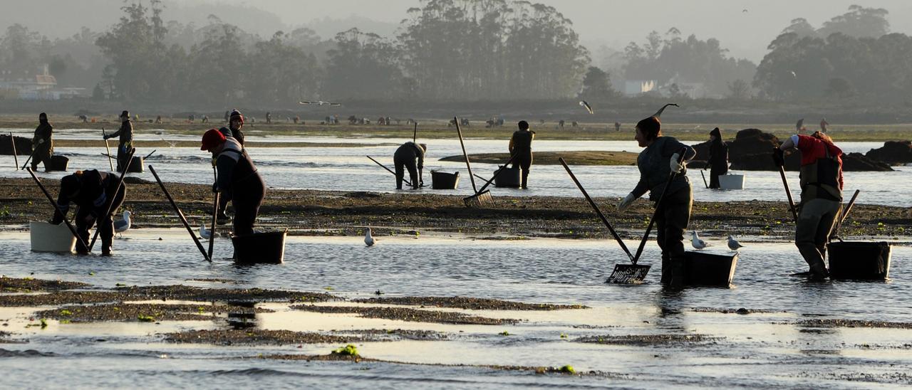 Mariscadoras de la cofradía de pescadores San Martiño de O Grove en la zona de Castrelo.