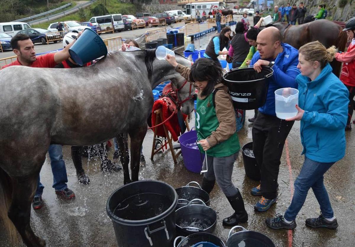 El raid de Porrúa bate, con 71 caballos, el récord regional de participación