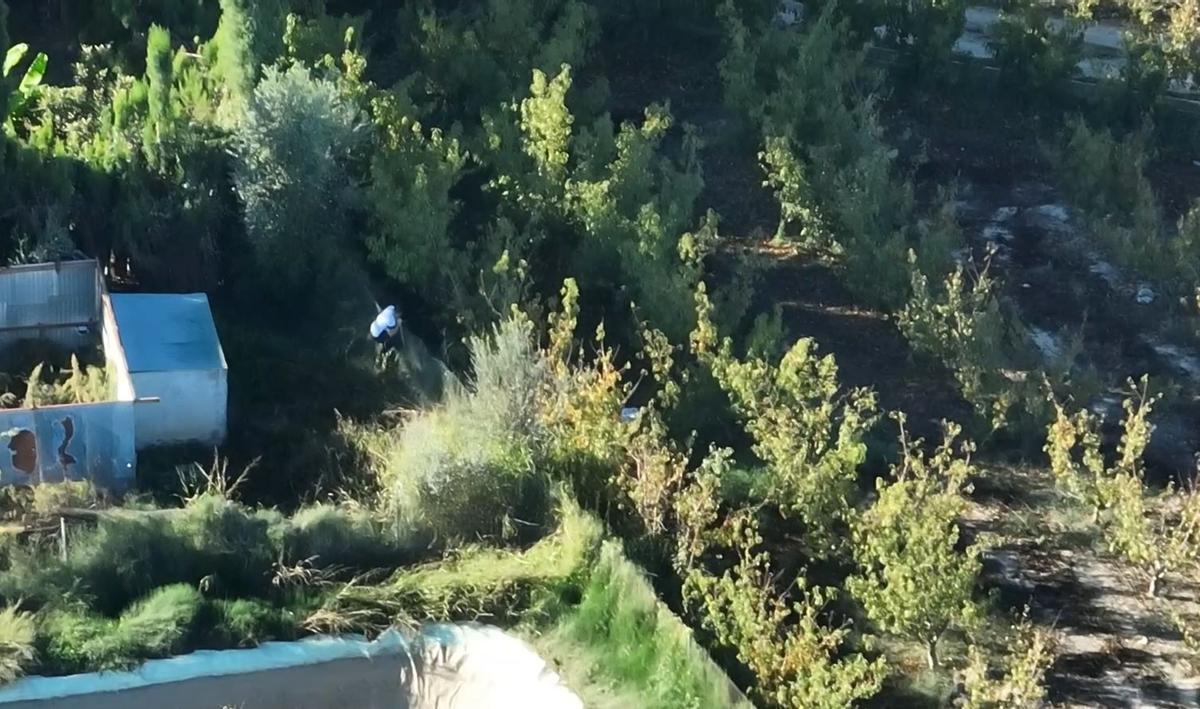 El operativo se desarrolló por campos de cultivo de Cieza, donde se escondía el sospechoso.