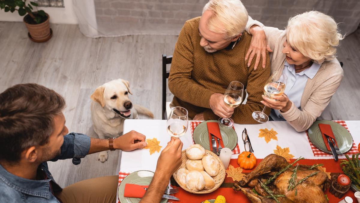 Hay que evitar que un perro pida comida en la mesa.