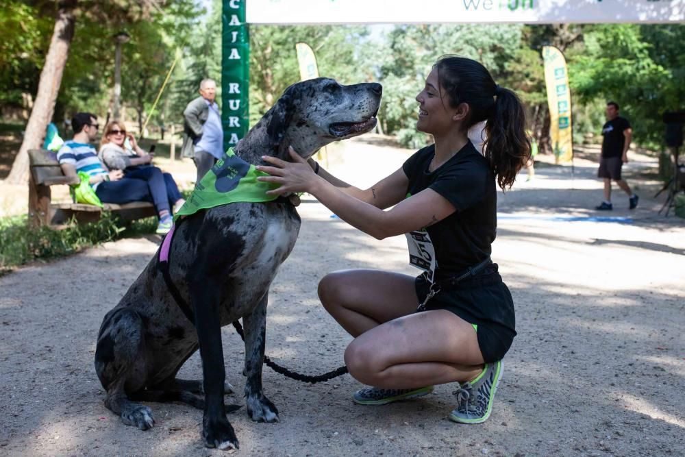 II Can We Run en Zamora