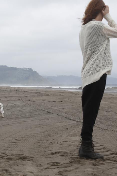 Los perros pueden acceder al playón de Bayas