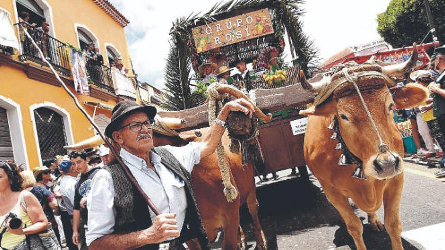 Parrilla incentivará que el ganado basto se destine también a la producción de carne