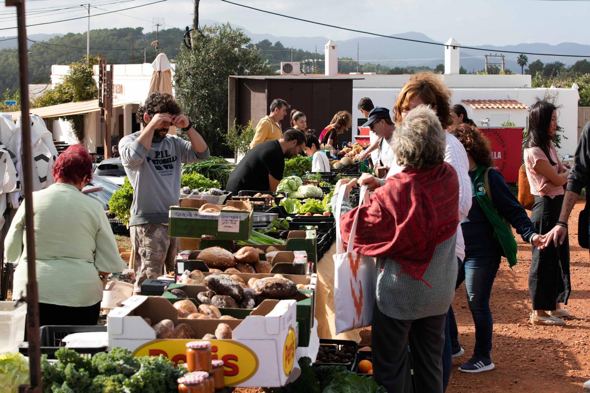 Fiestas de Forada