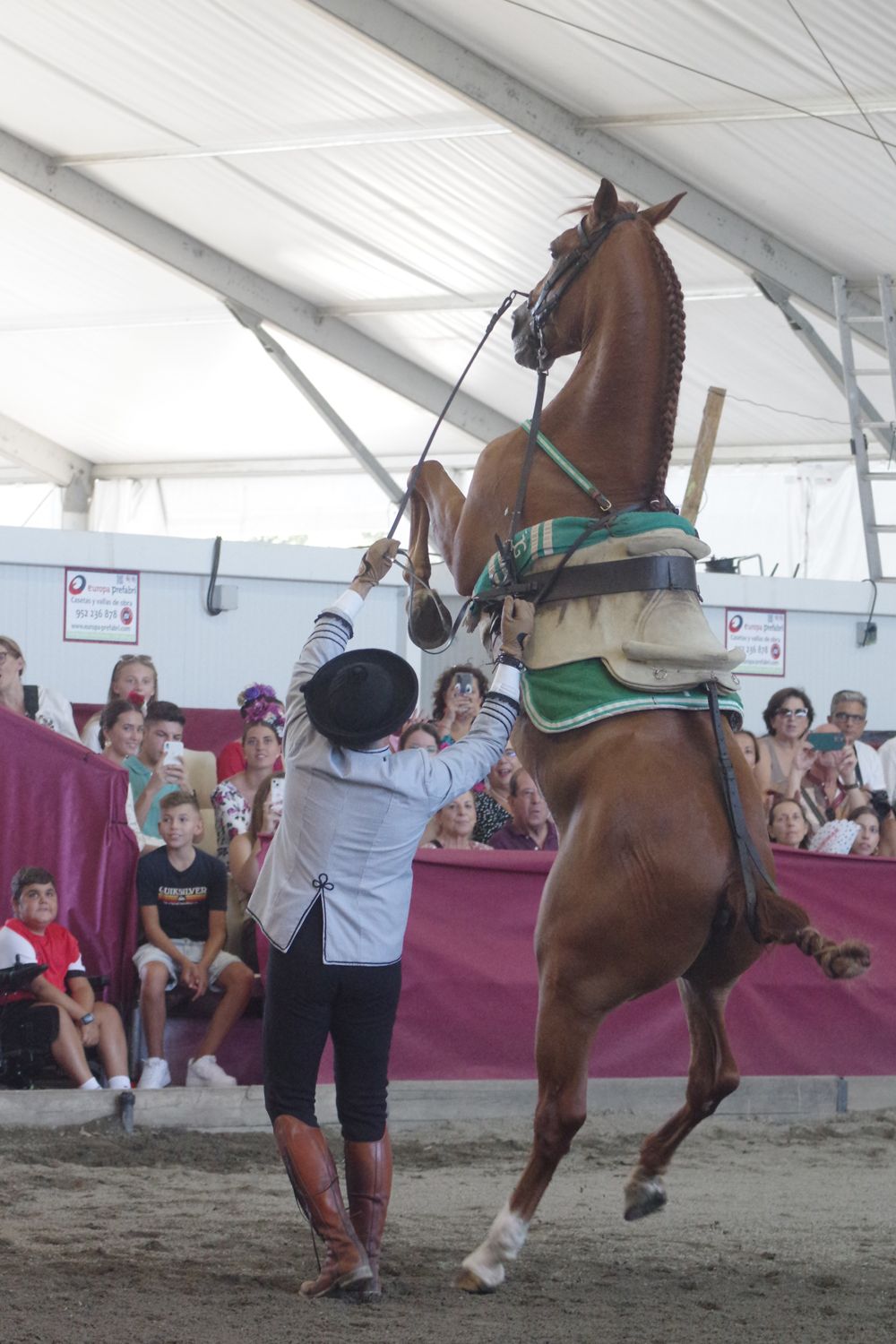 Feria de Málaga 2023 I El baile a caballo en el Centro de Exhibición Ecuestre del Real
