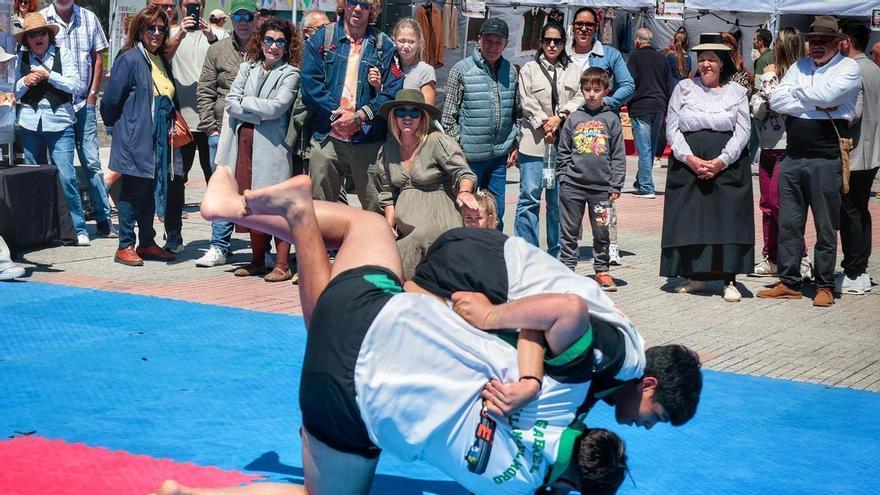 El Rosario Celebrates Rural Heritage and Artichoke Production to Bolster Local Agriculture