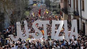 Una vista general de la manifestación de este domingo en el municipio navarro de Alsasua.