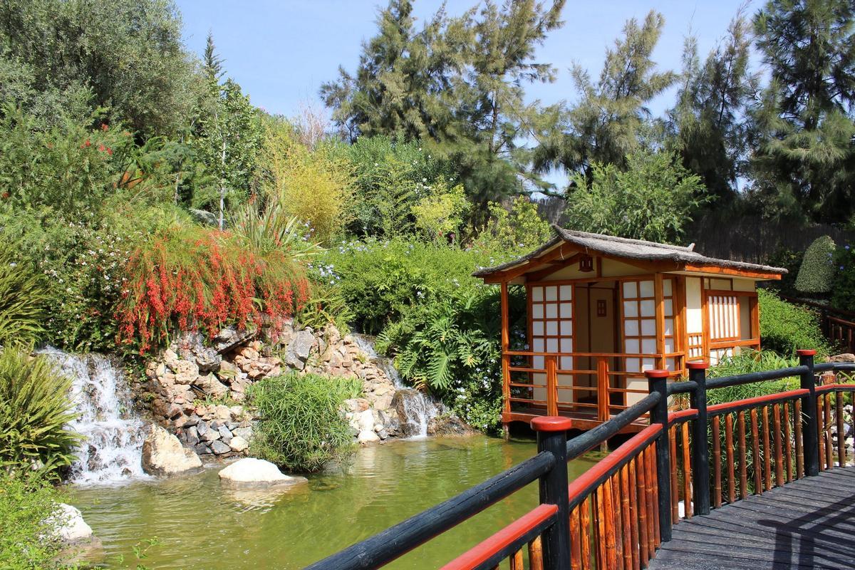 Así es el Jardín Botánico Molino de Inca, en Torremolinos, y su jardín japonés