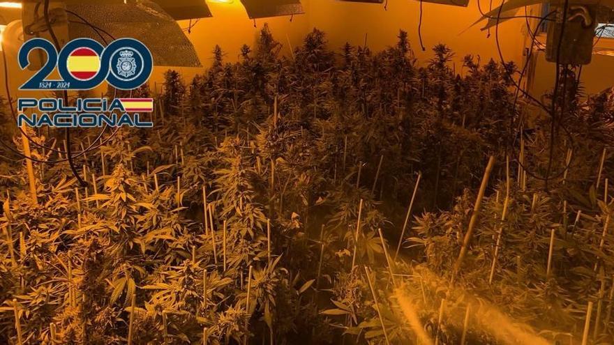 La Policía se incauta de 140 kilos de marihuana y detiene a 4 personas en Las Palmeras y El Higuerón