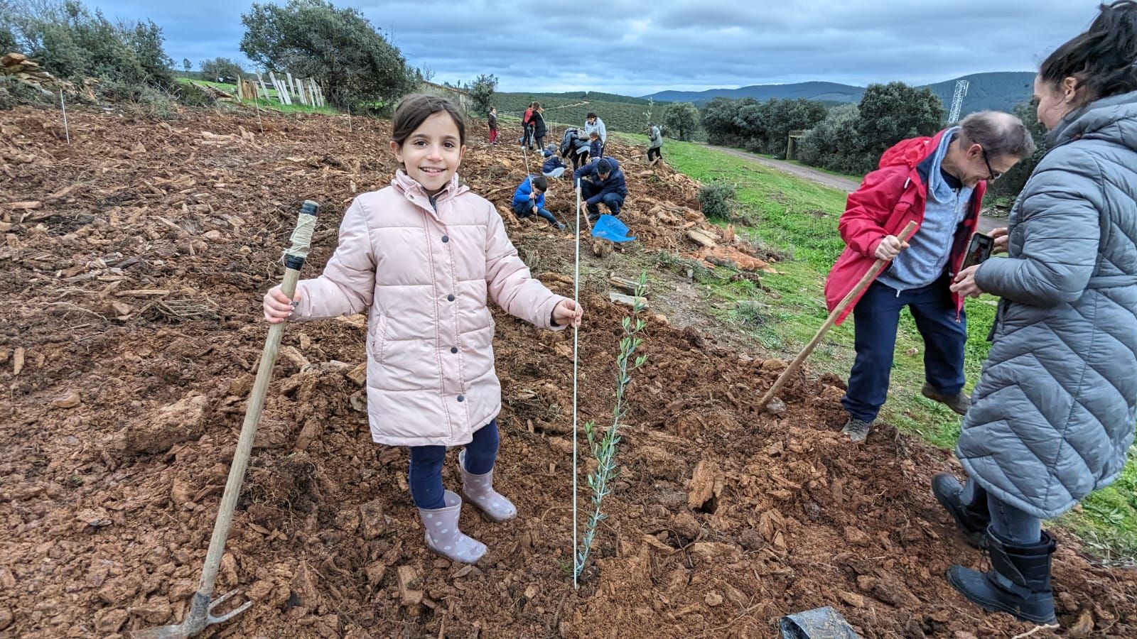 GALERÍA | Un jardín de 20 especies de olivos en Aliste