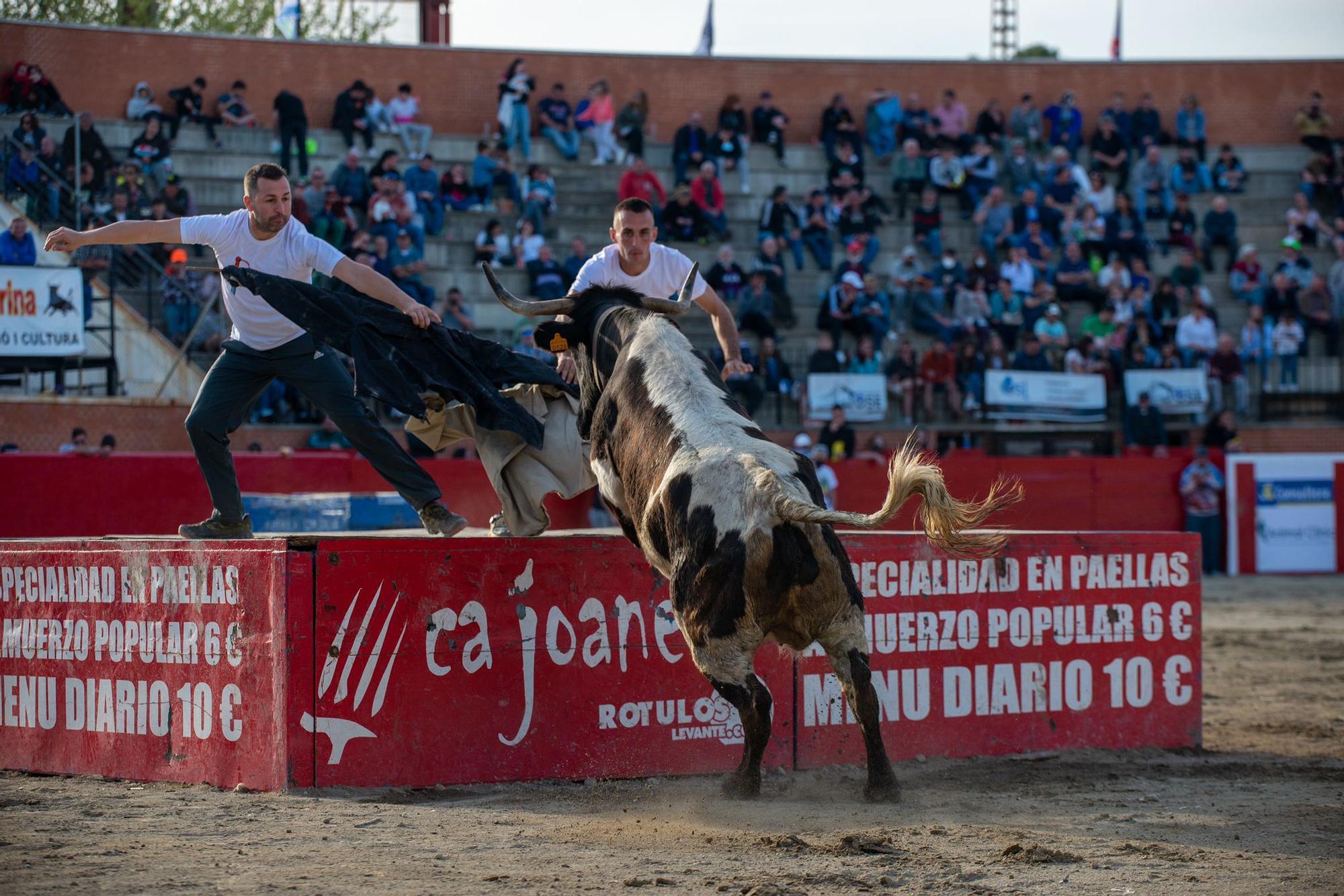 Primera jornada del concurso de ganaderías de la Pascua Taurina de Onda