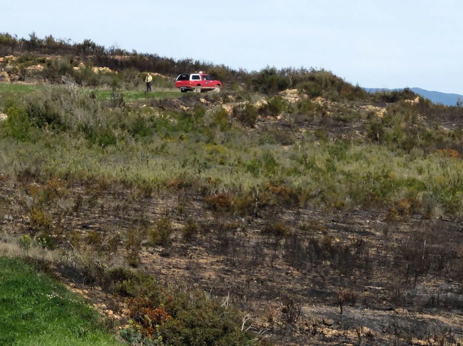 Incendi forestal a la zona cremada el 2012 de Llers