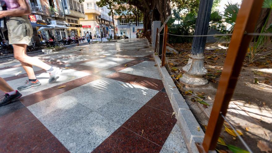 Así &quot;protege&quot; el Ayuntamiento de Alicante los ficus monumentales de Gabriel Miró