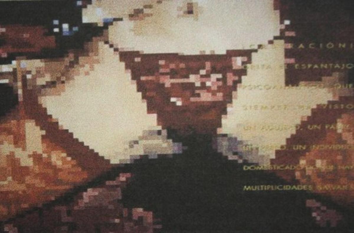 La pieza ‘Cuerpo cognitivo’, de Miriam Durango.