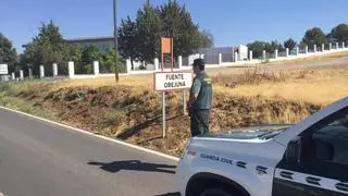 Cuatro detenidos en Fuente Obejuna por el robo de corderos en una explotación ganadera