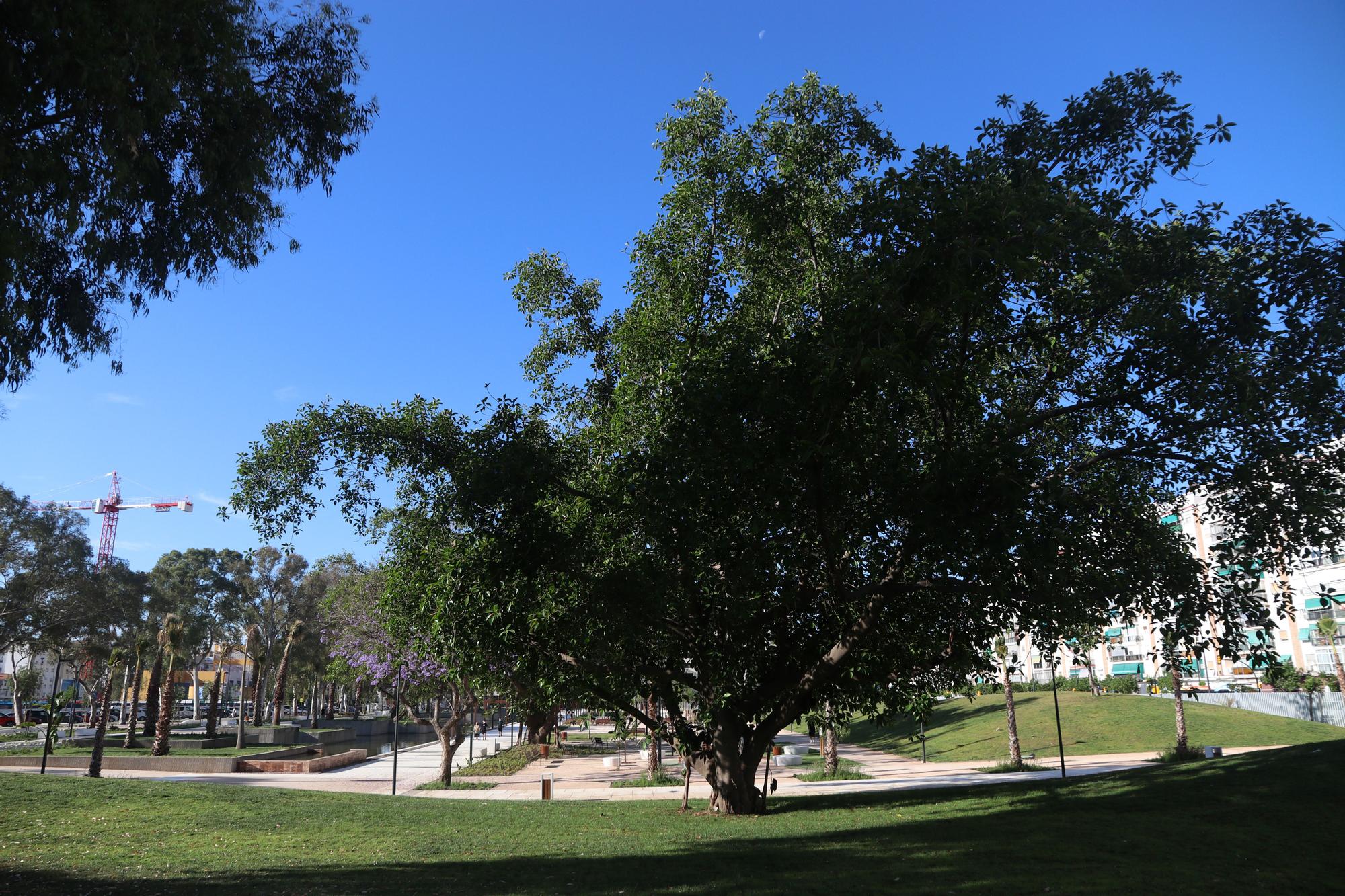 Abre el público el Parque de Martiricos