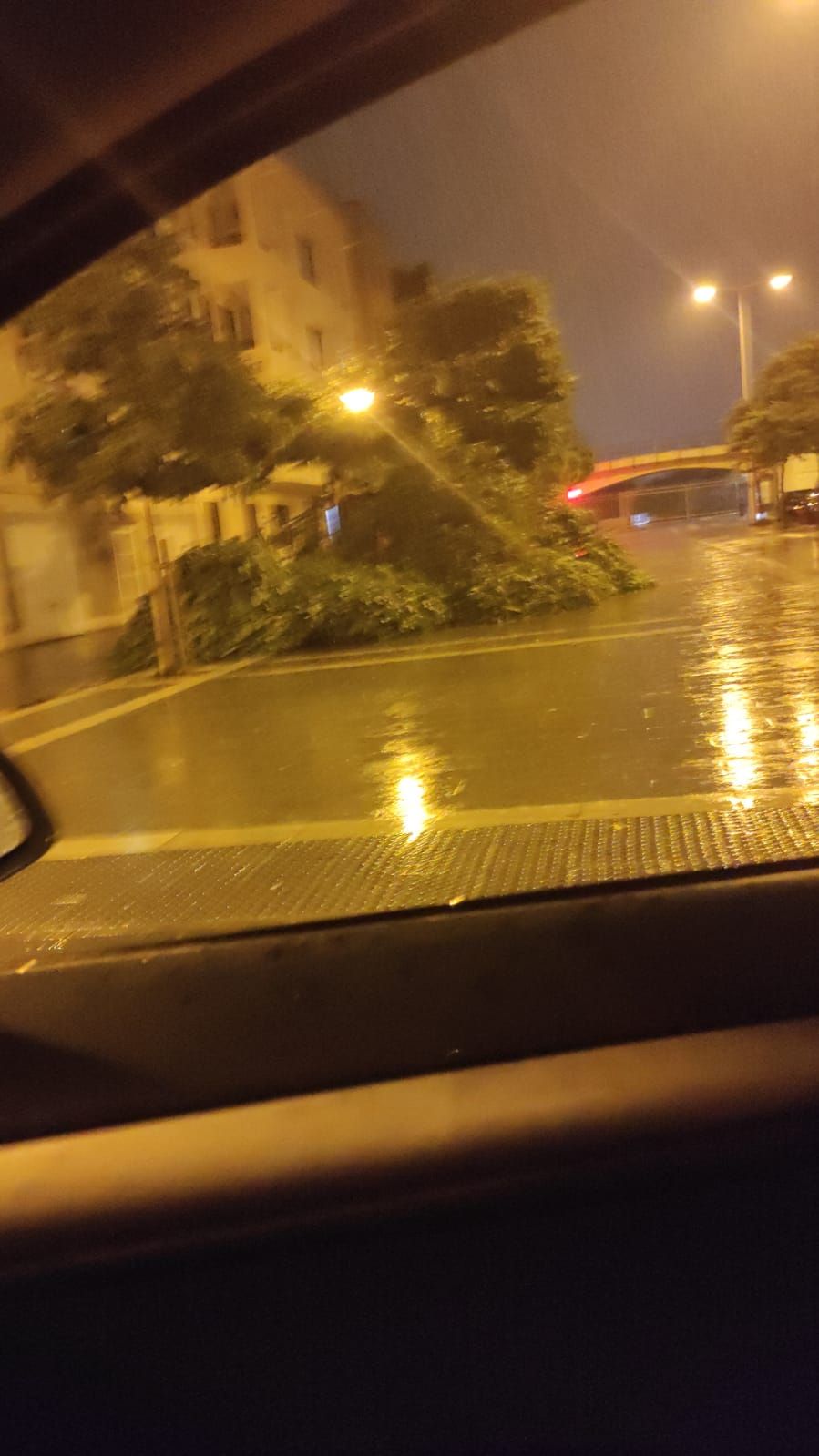 Los efectos de la tormenta en la zona del Parc de ses Estacions, (Palma)