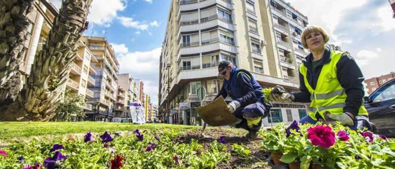 Orihuela pone sobre la mesa ordenar las funciones de sus setecientos trabajadores