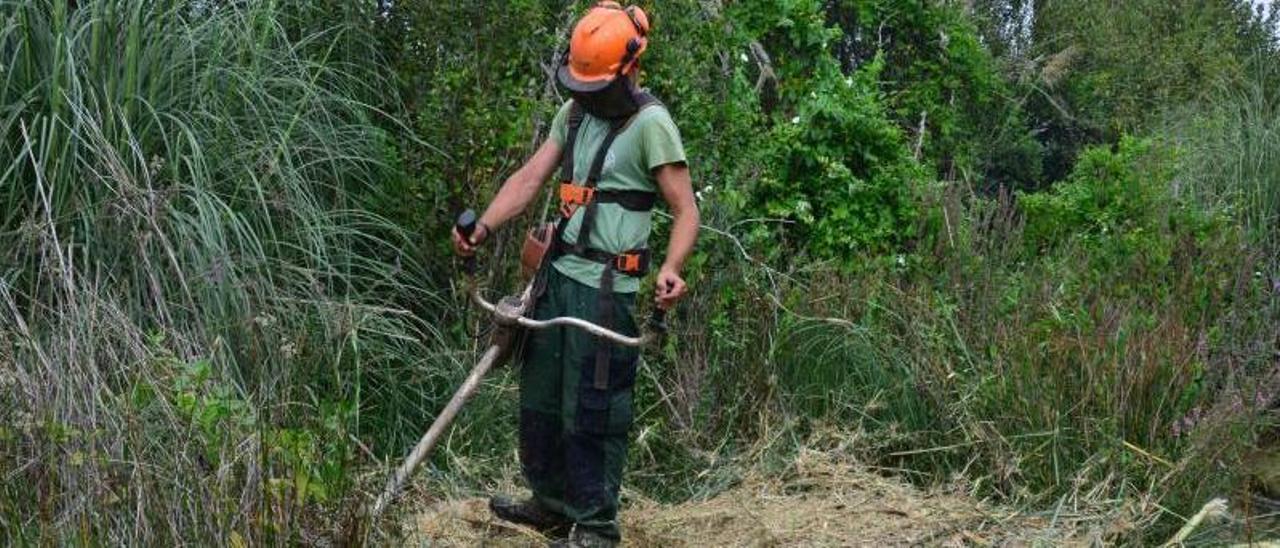 Un trabajador desbroza una zona de monte en Cangas.