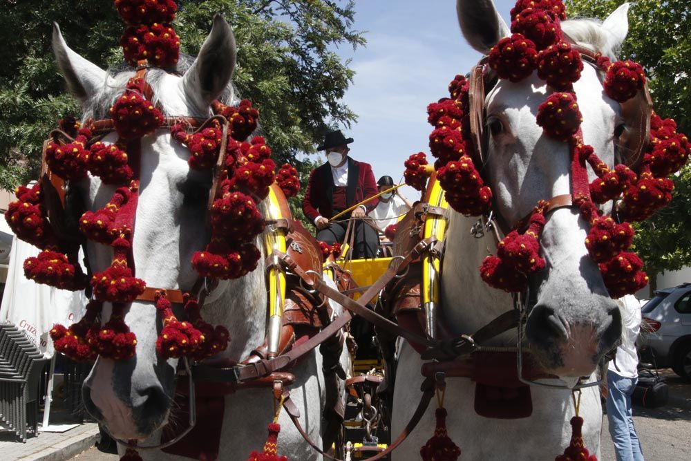 Miércoles de feria, caballistas y carruajes en María la Judía